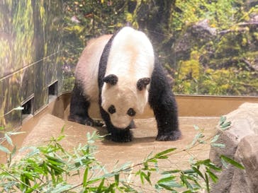 恩賜上野動物園に投稿された画像（2024/9/20）