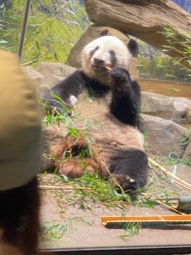 恩賜上野動物園に投稿された画像（2024/9/20）