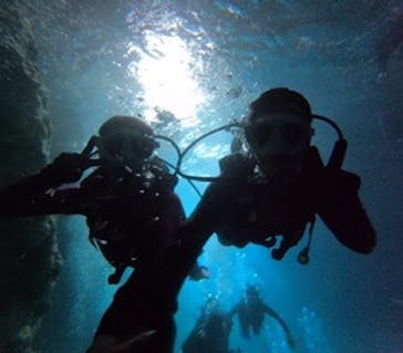 沖縄マリンサービス碧に投稿された画像（2024/9/20）