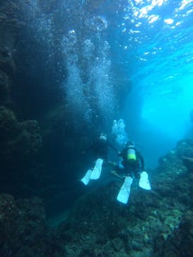 沖縄マリンサービス碧に投稿された画像（2024/9/20）