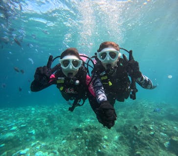 沖縄マリンサービス碧に投稿された画像（2024/9/20）