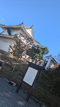 元離宮二条城に投稿された画像（2024/9/20）