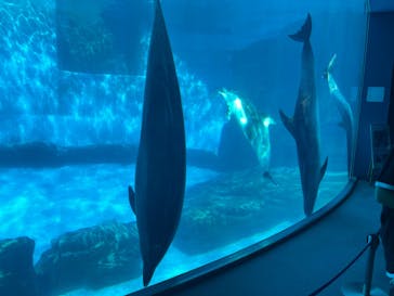 名古屋港水族館に投稿された画像（2024/9/20）