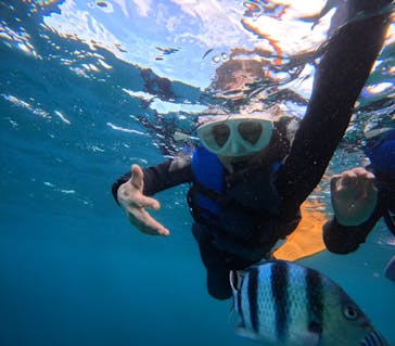 沖縄マリンサービス碧に投稿された画像（2024/9/20）