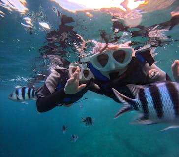 沖縄マリンサービス碧に投稿された画像（2024/9/20）