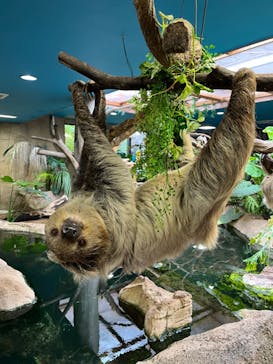 那須どうぶつ王国に投稿された画像（2024/9/20）