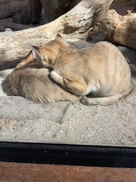 ネオパークオキナワに投稿された画像（2024/9/20）