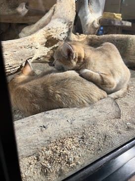 ネオパークオキナワに投稿された画像（2024/9/20）