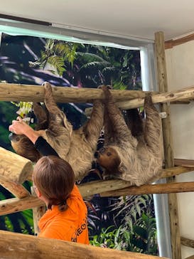 ネオパークオキナワに投稿された画像（2024/9/20）