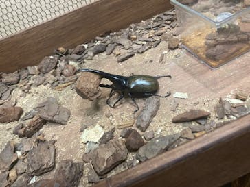 JOYPOLIS 特別イベントスペースに投稿された画像（2024/9/20）