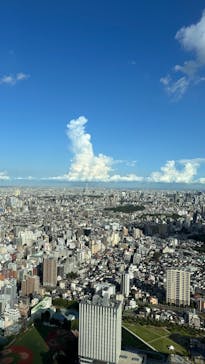 コトヤマ展に投稿された画像（2024/9/20）