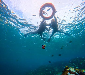 マリンクラブジジに投稿された画像（2024/9/20）