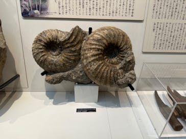 国立科学博物館に投稿された画像（2024/9/20）