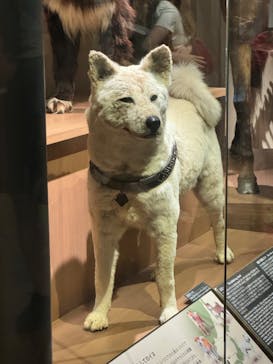 国立科学博物館に投稿された画像（2024/9/20）