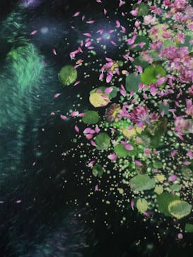 モネ＆フレンズ・アライブに投稿された画像（2024/9/20）