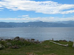 アトリエラウトに投稿された画像（2024/9/20）