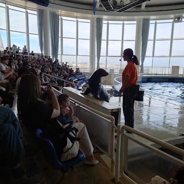 アクアワールド茨城県大洗水族館に投稿された画像（2024/9/20）