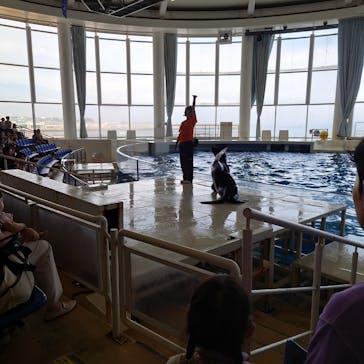 アクアワールド茨城県大洗水族館に投稿された画像（2024/9/20）