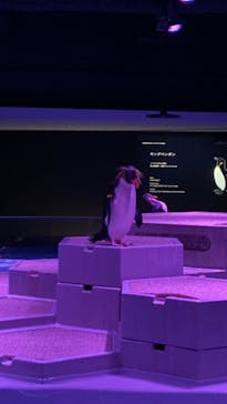 AOAO SAPPOROに投稿された画像（2024/9/20）