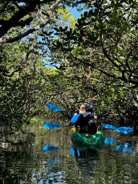 カヤックサービスfree suits（フリースーツ）石垣に投稿された画像（2024/9/20）