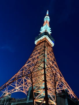 東京タワーに投稿された画像（2024/9/20）