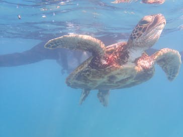 nico 宮古島に投稿された画像（2024/9/20）