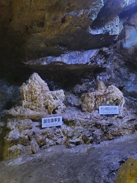 飛騨大鍾乳洞＆大橋コレクション館に投稿された画像（2024/9/20）