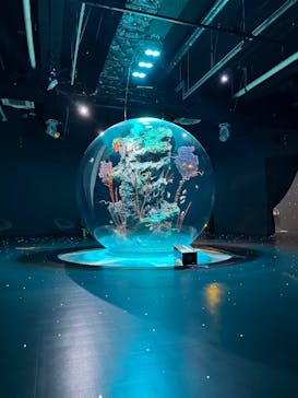 AQUARIUM × ART　atoaに投稿された画像（2024/9/20）