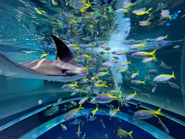 AQUARIUM × ART　atoaに投稿された画像（2024/9/20）