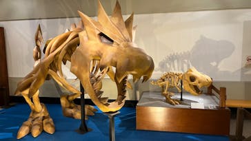 岐阜県博物館に投稿された画像（2024/9/20）