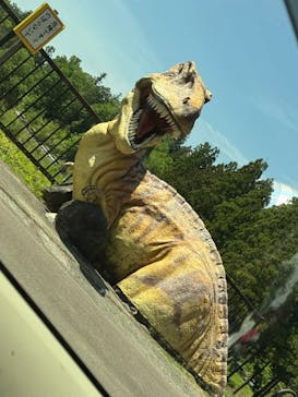 福井県立恐竜博物館に投稿された画像（2024/9/20）