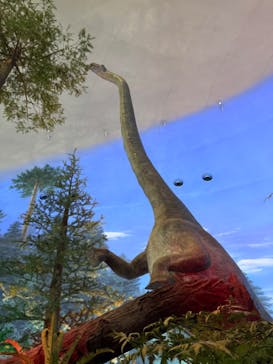 福井県立恐竜博物館に投稿された画像（2024/9/20）