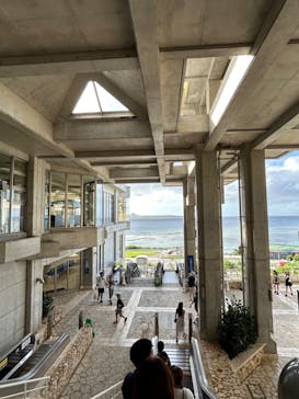 沖縄美ら海水族館に投稿された画像（2024/9/20）