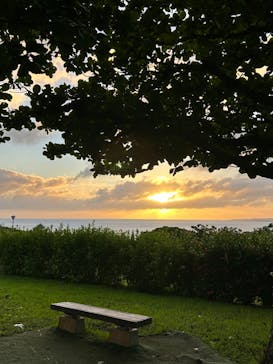 沖縄美ら海水族館に投稿された画像（2024/9/20）