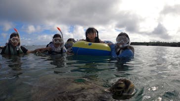 nico 宮古島に投稿された画像（2024/9/20）