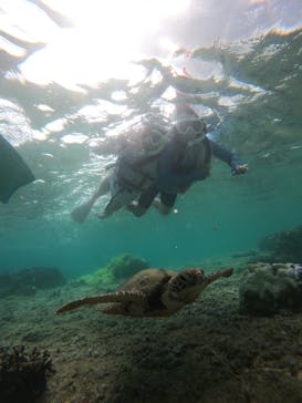 nico 宮古島に投稿された画像（2024/9/20）