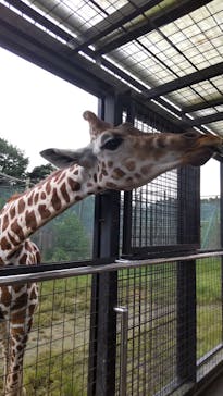 那須サファリパークに投稿された画像（2024/9/20）