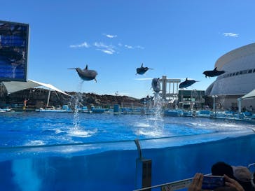 名古屋港水族館に投稿された画像（2024/9/20）