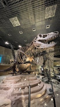 国立科学博物館に投稿された画像（2024/9/20）