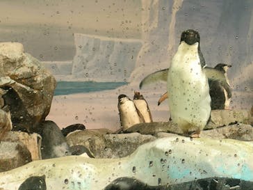 名古屋港水族館に投稿された画像（2024/9/20）