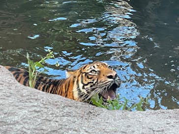 神戸どうぶつ王国に投稿された画像（2024/9/20）