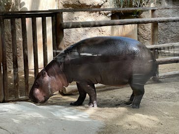 神戸どうぶつ王国に投稿された画像（2024/9/20）