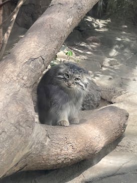 神戸どうぶつ王国に投稿された画像（2024/9/20）