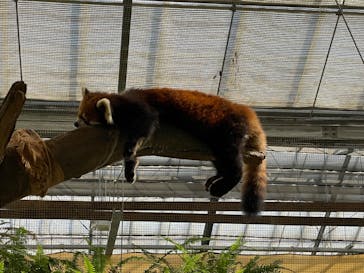 神戸どうぶつ王国に投稿された画像（2024/9/20）