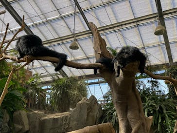 神戸どうぶつ王国に投稿された画像（2024/9/20）