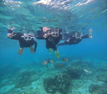 沖縄マリンサービス碧に投稿された画像（2024/9/20）