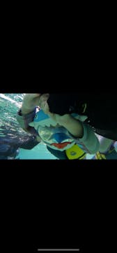 沖縄マリンサービス碧に投稿された画像（2024/9/20）