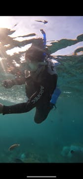 沖縄マリンサービス碧に投稿された画像（2024/9/20）