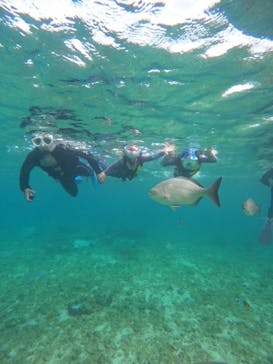 沖縄マリンサービス碧に投稿された画像（2024/9/20）