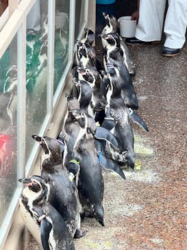 アクアワールド茨城県大洗水族館に投稿された画像（2024/9/21）